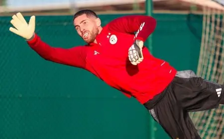 نجوم الجزائر يقرّون بعظمة نيجيريا ويخوضون التحدي للتأهل