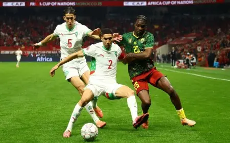 المغرب يهزم الكاميرون ويتأهل للمربع الذهبي في بطولة أمم إفريقيا