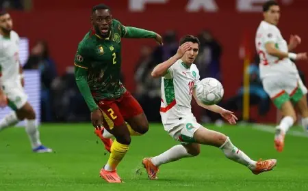 إحصائيات مباراة الكاميرون والمغرب: أسود الأطلس يحجزون مقعدهم في نصف نهائي كأس أمم أفريقيا