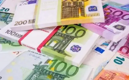 كم بلغ سعر صرف اليورو مقابل الجنيه اليوم الجمعة؟