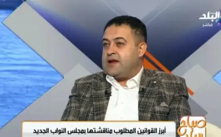 مطالب بتأجيل قانون المحليات: أستاذ قانون يشير إلى عدم ملاءمة التوقيت الحالي