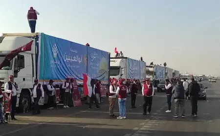 مؤسسة أبو العينين تدعم القافلة 13 للتحالف الوطني إلى غزة بآلاف المساعدات الغذائية والإغاثية