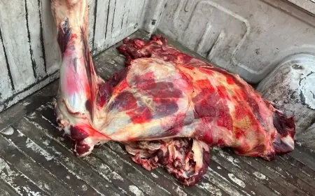 ضبط 75 طن من اللحوم والدواجن الفاسدة في الجيزة تعكر صفو السوق المحلي