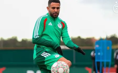 التشكيلة المتوقعة للمنتخب الجزائري في مواجهة نيجيريا بربع نهائي كأس الأمم الإفريقية