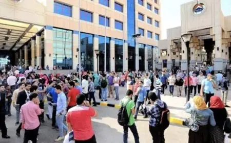 نائب يؤكد أن الجامعات المتخصصة تعزز الأمن التنموي وتعتبر استثماراً طويل الأجل في رأس المال البشري