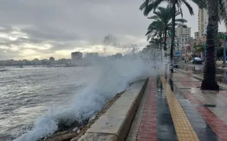 أمطار متفاوتة واضطراب الملاحة البحرية مستمر حتى الجمعة 16 يناير حسب الأرصاد الجوية