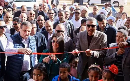 افتتاح محطة الزهراء للطاقة الشمسية بأسوان لتوفير الطاقة لـ 480 فدان