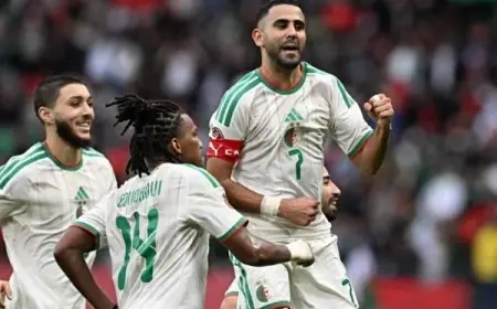 تعرّف على تشكيل الجزائر ونيجيريا في ربع نهائي كأس أمم أفريقيا
