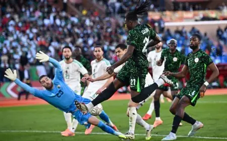 نيجيريا تتألق وتصل إلى نصف نهائي أمم إفريقيا بتغلبها على الجزائر باثنين