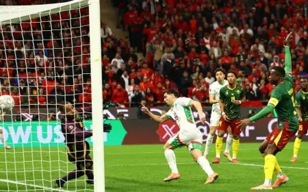تحديد موعد مباراة نصف نهائي كأس أمم إفريقيا بين المغرب ونيجيريا