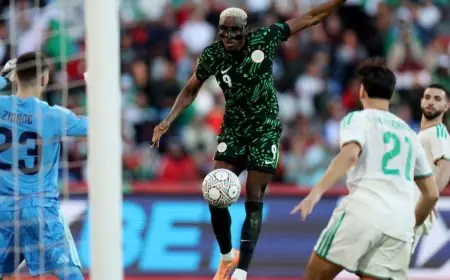 5 أرقام بارزة الجزائر تسجل خروجًا سلبيًا ونيجيريا ترسل تحذيرًا للمغرب بهجوم مخيف
