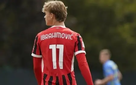 بعد 22 عامًا من الانتظار إبراهيموفيتش الشاب يستعد للانضمام إلى أياكس