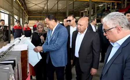 رئيس الوزراء يدشن مجمع شين جين المتكامل للمنسوجات والطباعة والصباغة في منطقة السخنة الصناعية