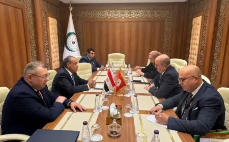 وزير الخارجية يدعو لخروج القوات الأجنبية والمرتزقة من ليبيا لتعزيز السيادة والاستقرار