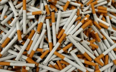 تعرف على أسعار السجائر اليوم السبت 10 يناير 2026 في الأسواق العربية