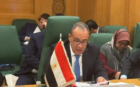 وزير الخارجية يجدد تأكيد مصر على دعم وحدة الصومال وحقوق الفلسطينيين المشروعة