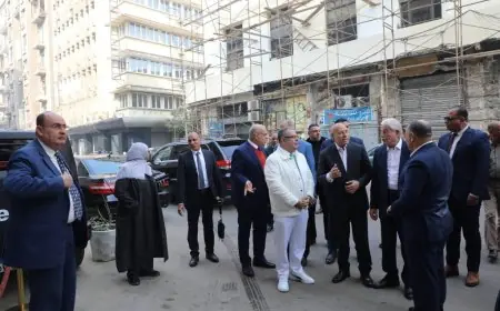 تفقد مستشار الرئيس ومحافظ القاهرة لأعمال تطوير محور صلاح سالم البديل ومنطقتي الأزهر والحسين