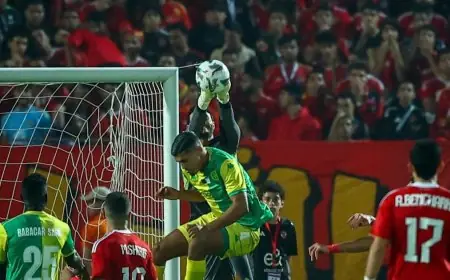 احتمالية خسارة مصر 6 لاعبين في نهائي كأس إفريقيا أو مباراة الترتيب