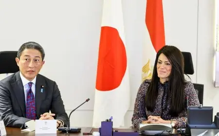 توسيع الشراكة المصرية اليابانية لزيادة الاستثمارات والتمويلات الخاصة كما يشير المشاط
