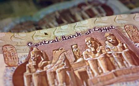 علي الدين هلال: انتعاش الجنيه المصري أمام الدولار بفضل تحويلات المصريين بالخارج