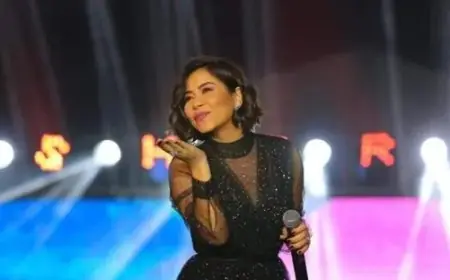 أيمن نور الدين يكشف معاناة شيرين عبد الوهاب من الألم النفسي وتفاصيل حقيقة شائعة الإفلاس