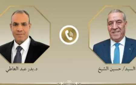 وزير الخارجية المصري يعقد محادثات لتعزيز دعم السلطة الفلسطينية مع نائب رئيس فلسطين