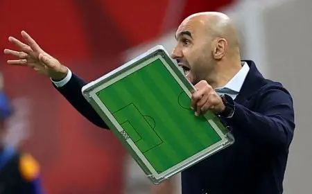 الركراكي: لا أخشى الإقالة وقيمة نجاحنا تكمن في إحراز اللقب