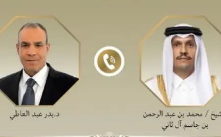 وزير الخارجية القطري ونظيره يشددان على ضرورة تشكيل لجنة تكنوقراط فلسطينية لإدارة غزة