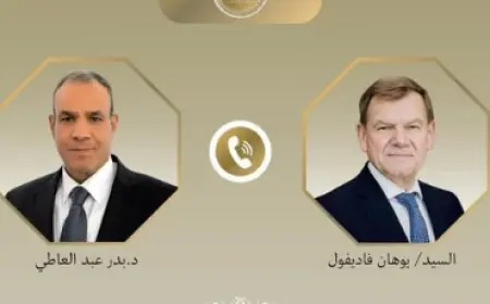 محادثات هاتفية تجمع بين وزيري الخارجية الألماني والمصري