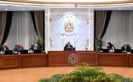 رئيس الوزراء يراقب تقدم مشروع إنتاج الهيدروجين الأخضر بطاقة 100 ميجاوات