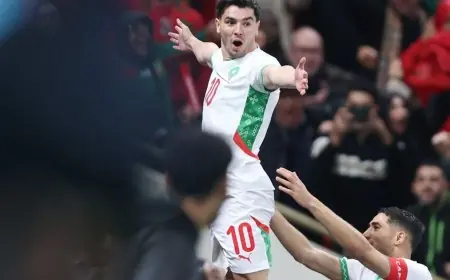المغرب يتأهل لنصف نهائي أمم إفريقيا إنجاز تاريخي وأرقام تدعو للحلم