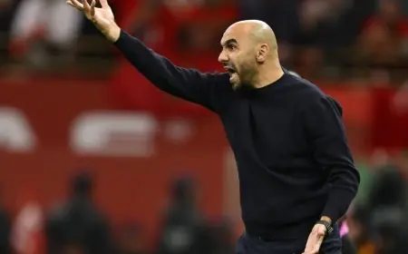 الركراكي: في المغرب تظل الانتقادات حتى مع الفوز وستبقى الأمنيات الطيبة لخليفتي