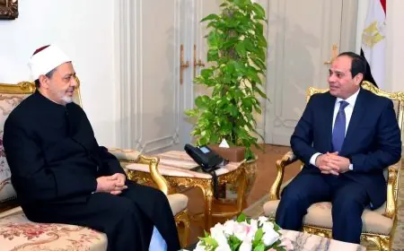 الإمام الأكبر يشيد باختيار الرئيس السيسي لطريق مشرف في دعم القضية الفلسطينية تمشياً مع تاريخ مصر