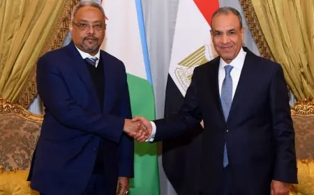 وزير الخارجية يناقش مع وزير خارجية جيبوتي آخر مستجدات الأوضاع الإقليمية