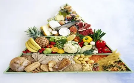 اكتشف الهرم الغذائي الجديد لنظام صحي يحارب أمراض العصر