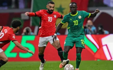 الجزائرية تبث مباراة مصر ونيجيريا في كأس أمم أفريقيا مباشرة