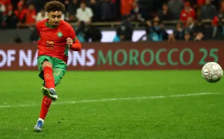 تصرف بن صغير الإنساني تجاه مشجع مصاب بعد انتصار المغرب