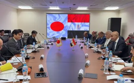 التعليم تعلن بدء تدريس اللغة اليابانية في المدارس المصرية اليابانية من العام الدراسي القادم