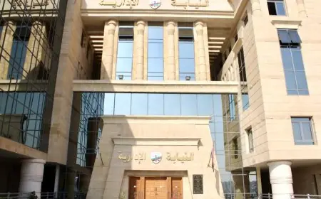 النيابة الإدارية تشرف على انتخابات نقابات المحامين الفرعية وتعزز المراقبة القضائية