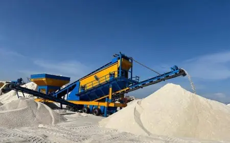 قطاع الأعمال: النصر للملاحات تحقق رقمًا قياسيًا بتصدير أكبر شحنة ملح من ميناء العريش