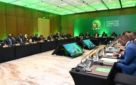 زيادة مثيرة بنسبة 90% في إيرادات كأس أمم إفريقيا التجارية