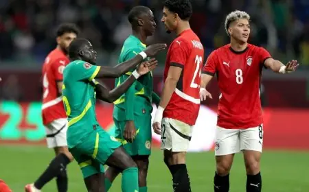 إيقاف لاعبين مصريين وإصابة اثنين بعد أحداث مباراة السنغال