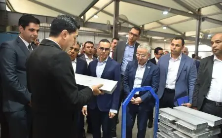 وزير الاستثمار يقوم بزيارة ميدانية لتفقد المصانع بالمنطقة الاستثمارية في ميت غمر لتحقيق التنمية الاقتصادية