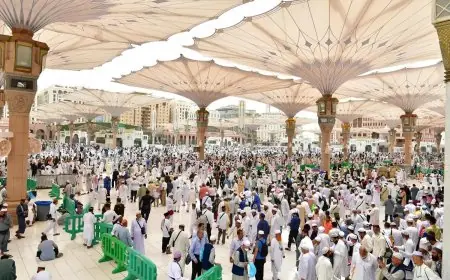 الطقس السيء يثير الأتربة في المدينة المنورة و يؤثر على الحياة اليومية