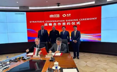 بـ 500 مليون دولار: إطلاق مجمع صناعي ضخم لإنتاج الخلايا الشمسية بقدرة 5 جيجاوات