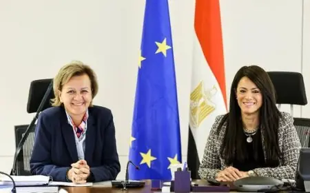 المشاط وسفيرة الاتحاد الأوروبي تناقشان تنفيذ الشق الاقتصادي للشراكة الاستراتيجية