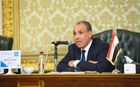 اكتشف كيف تعزز وزارة الخارجية جذب الاستثمارات وتدعم الاقتصاد المصري