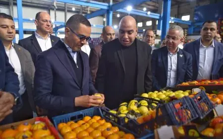 وزير الاستثمار يزور مصانع المنطقة الاستثمارية في بنها لتعزيز التنمية الاقتصادية