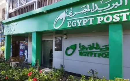 البريد المصري ينفي علاقته برسائل الغرامات المرورية