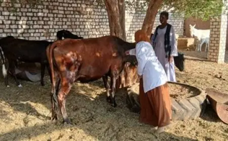 الزراعة تكشف عن اعتماد دولي لبحوث وقاية النباتات في إدارة الابتكار